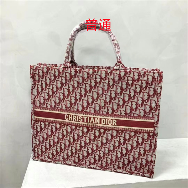 Dior bag-0200