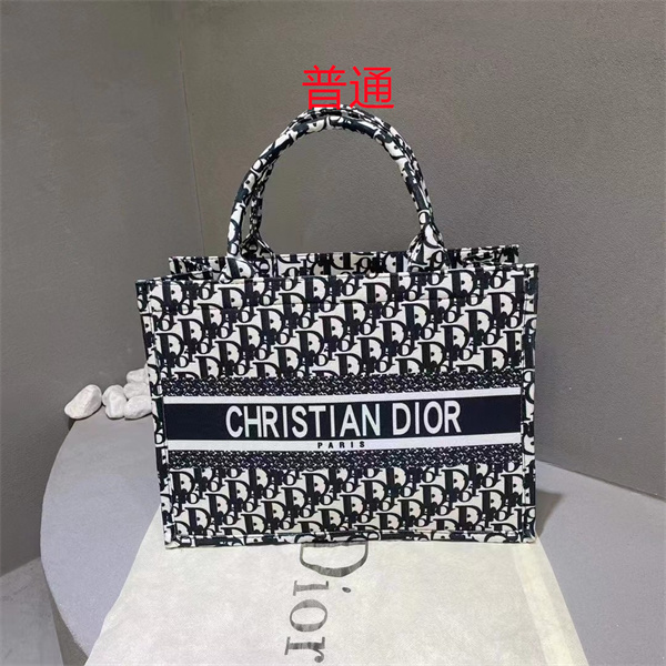Dior bag-0209