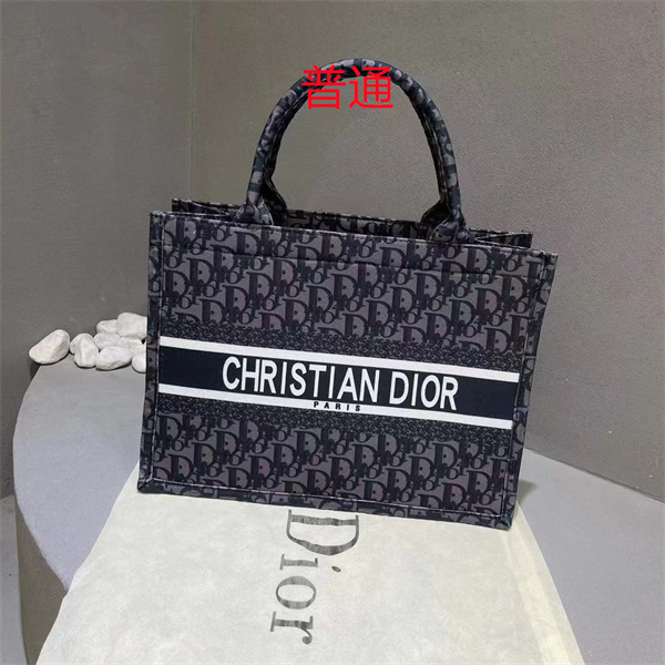 Dior bag-0210