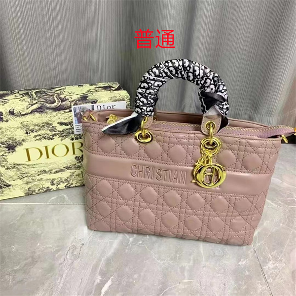 Dior bag-0217