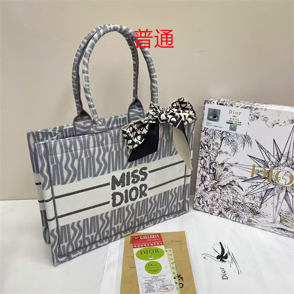 Dior bag-0229