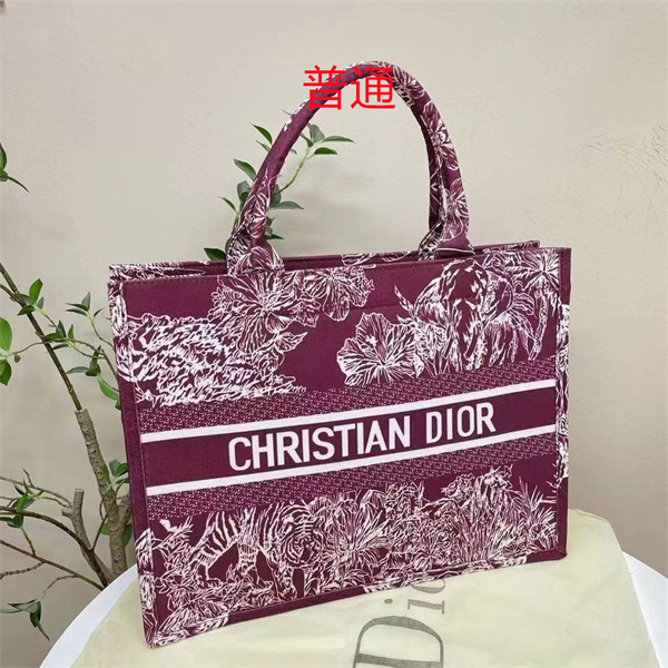 Dior bag-0241