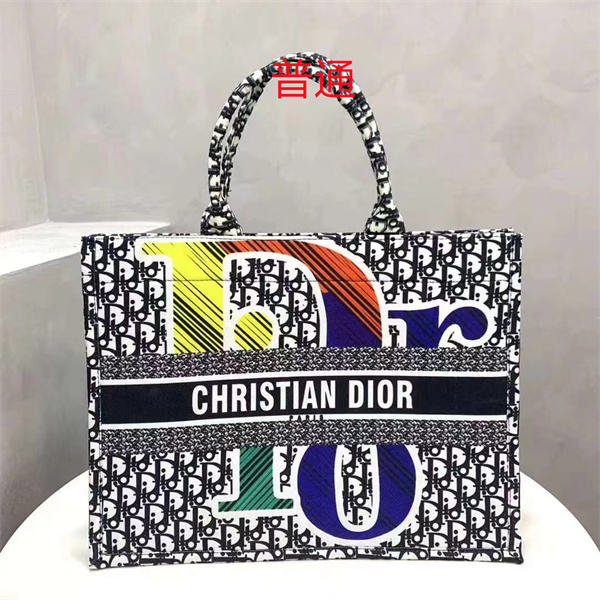 Dior bag-0249