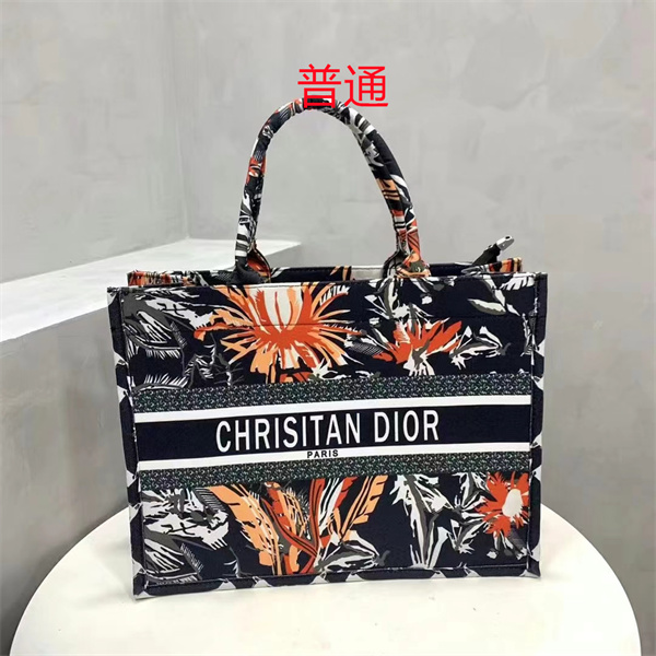 Dior bag-0253