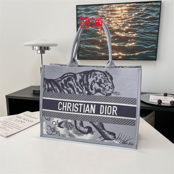 Dior bag-0260