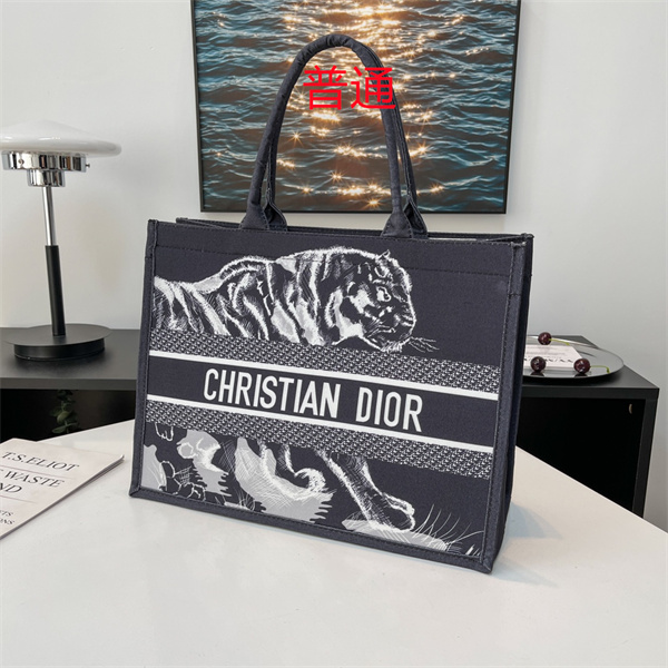 Dior bag-0262