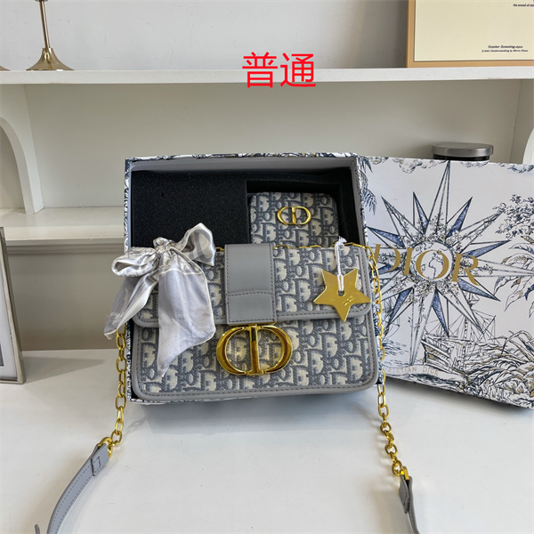 Dior bag-0266
