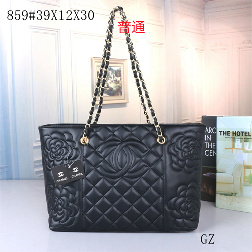 Chanel bag-0078