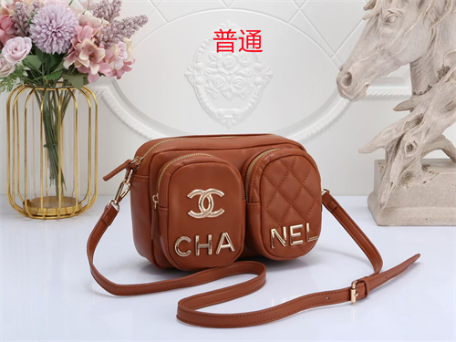 Chanel small bag-0030
