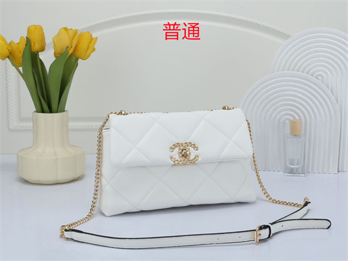 Chanel bag-0128