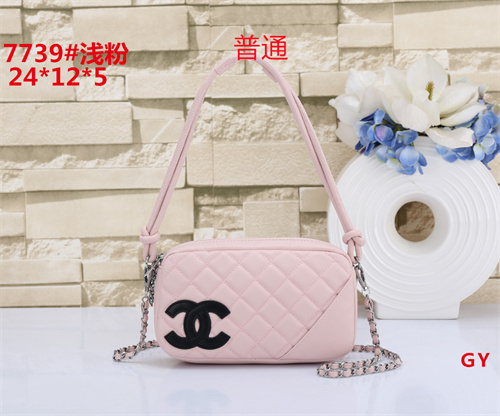 Chanel small bag-0053