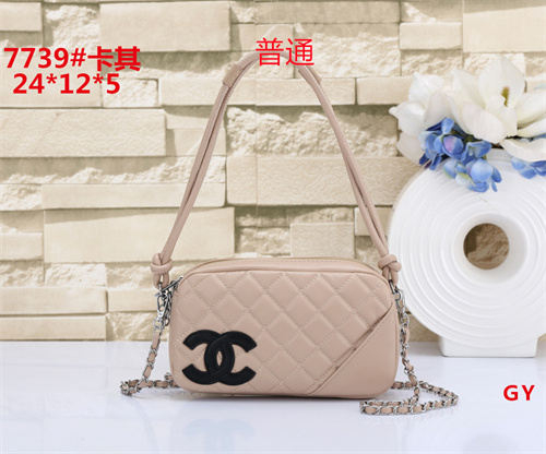 Chanel small bag-0054
