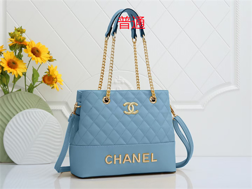 Chanel bag-0164