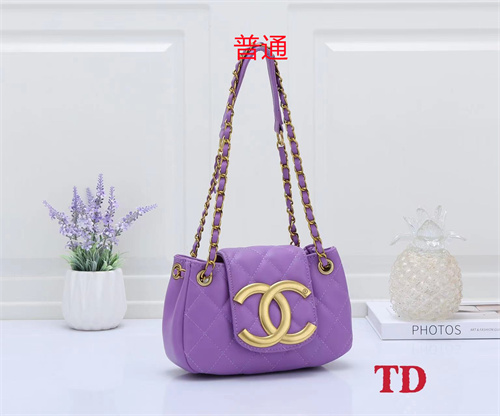 Chanel small bag-0058