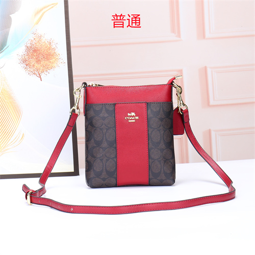 Coach small bag-0057