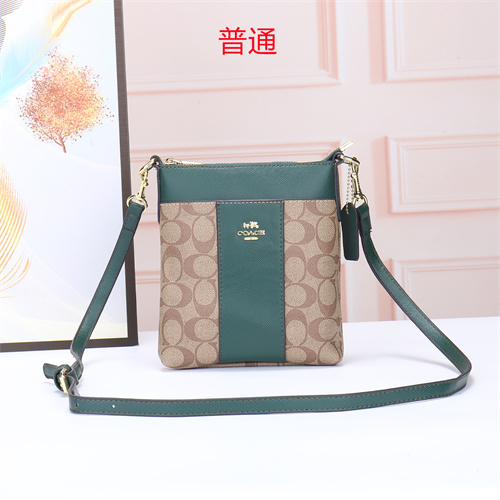 Coach small bag-0060