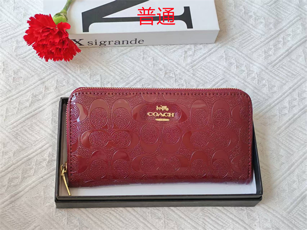 Coach Wallet-0105