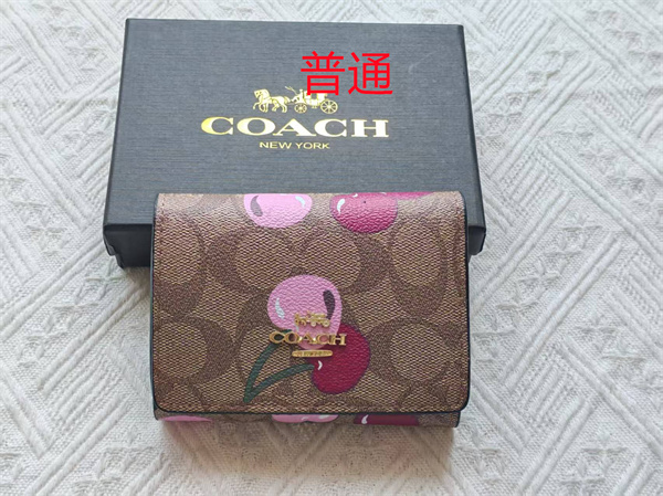 Coach Wallet-0181