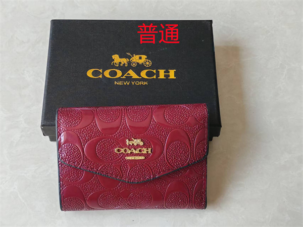 Coach Wallet-0199