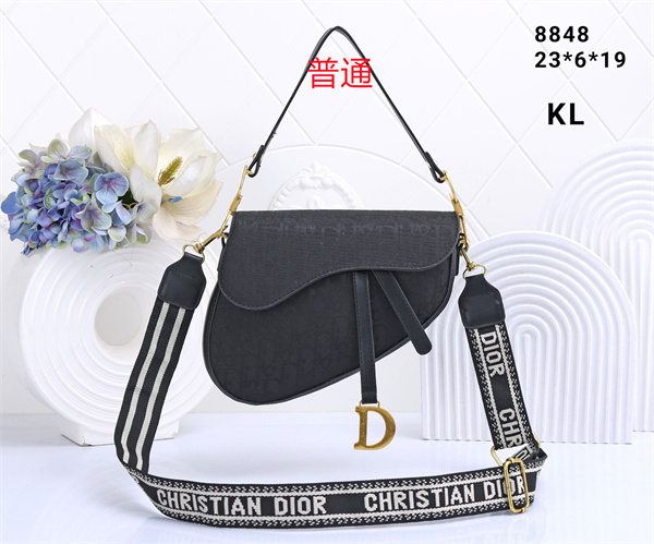 Dior small bag-0099