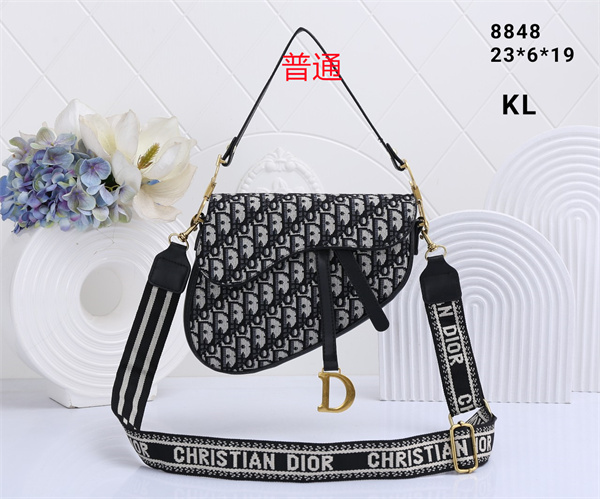 Dior small bag-0100