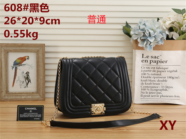 Chanel small bag-0069