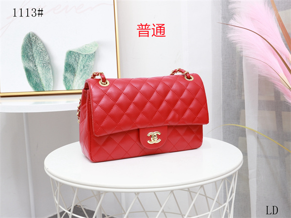 Chanel small bag-0072