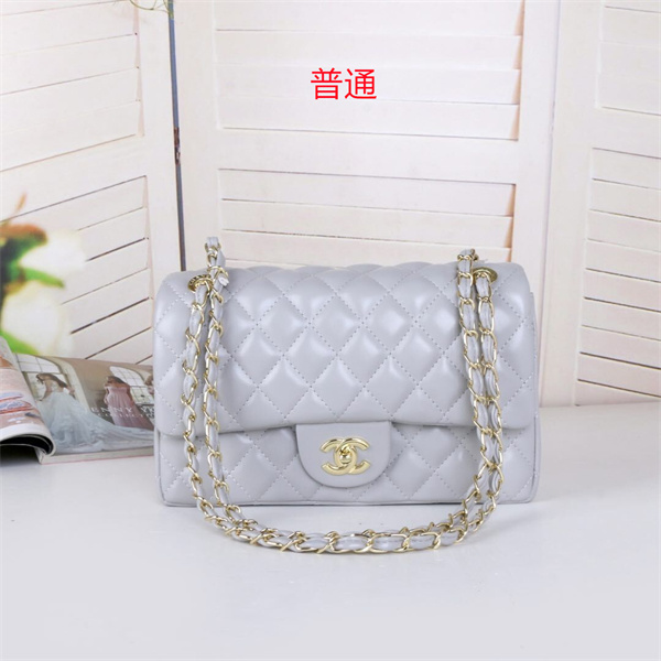 Chanel small bag-0078