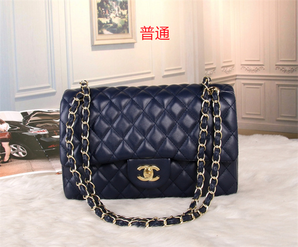 Chanel small bag-0081