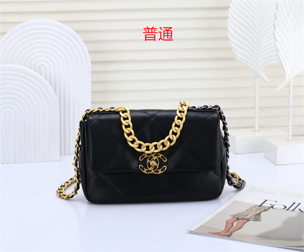 Chanel small bag-0100