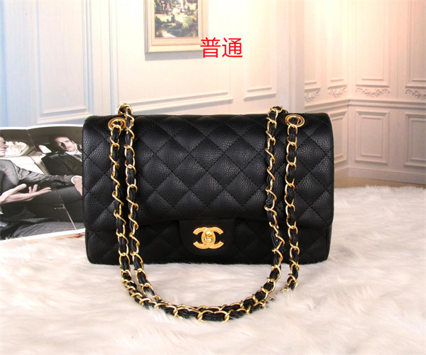 Chanel bag-0212