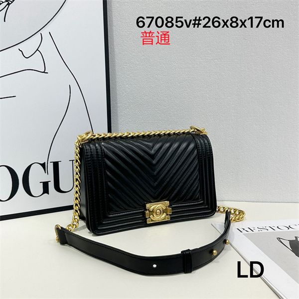 Chanel bag-0229