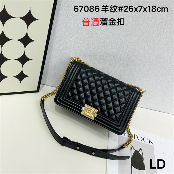 Chanel bag-0232