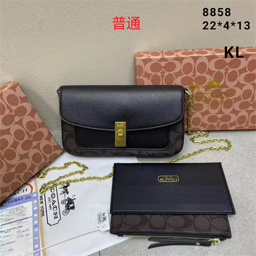 Coach small bag-0074