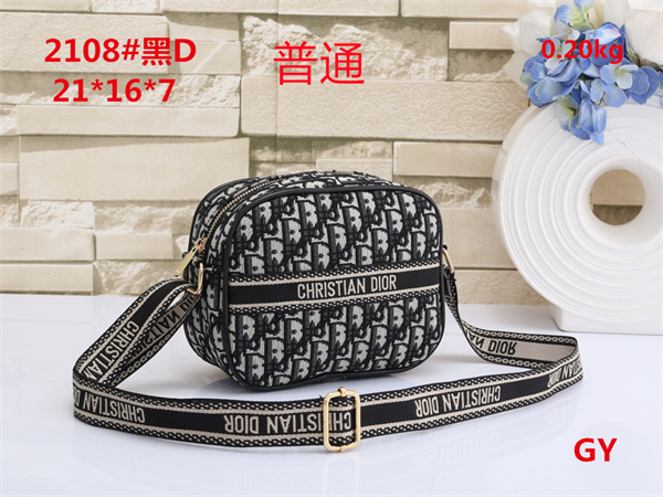 Dior small bag-0106
