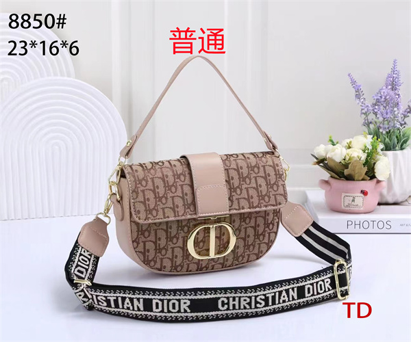 Dior small bag-0109