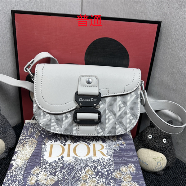 Dior small bag-0117