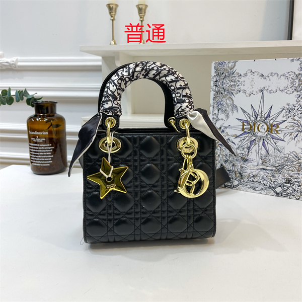 Dior small bag-0142
