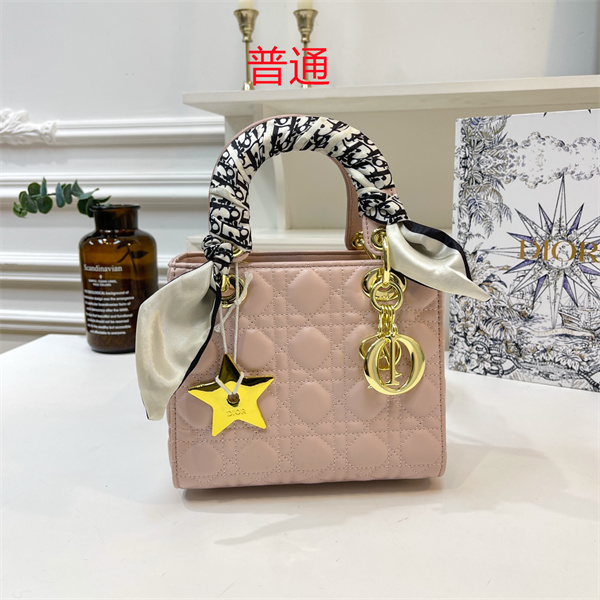 Dior small bag-0145
