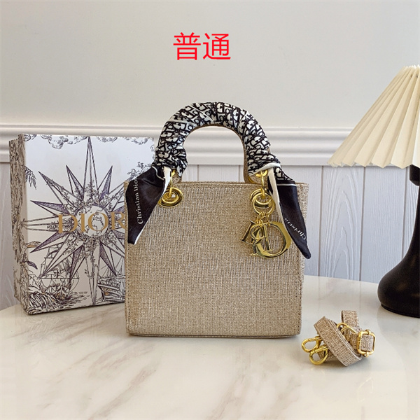 Dior small bag-0164