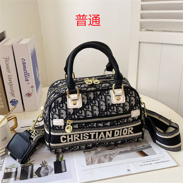Dior small bag-0172