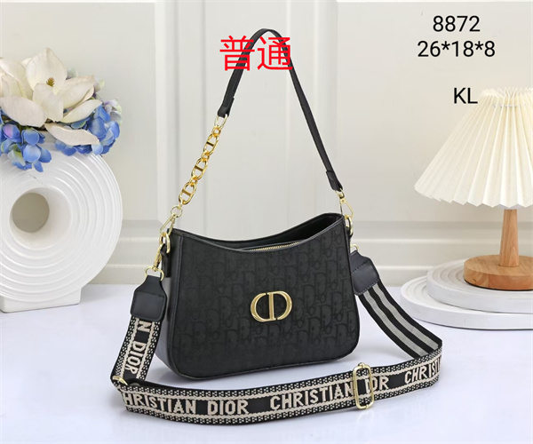 Dior small bag-0178