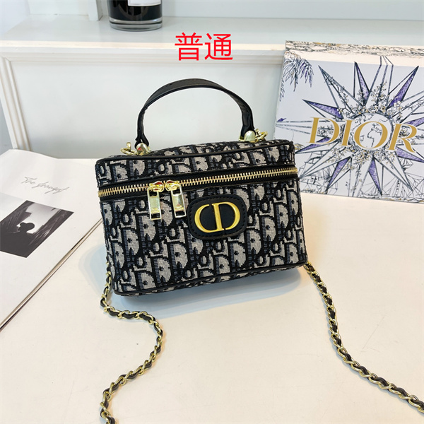 Dior small bag-0183