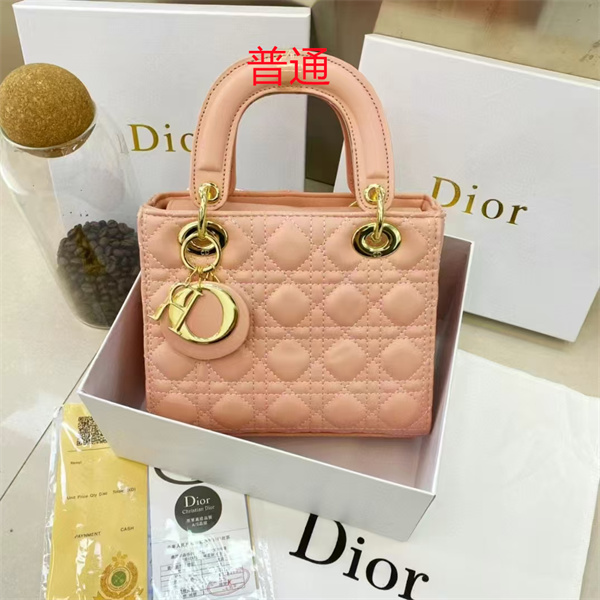 Dior small bag-0224