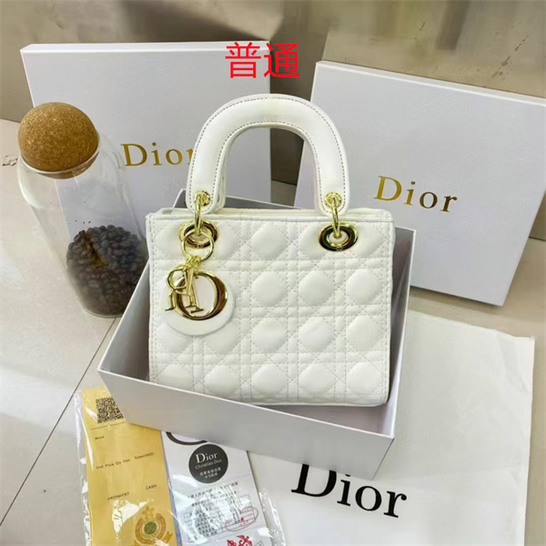 Dior small bag-0227