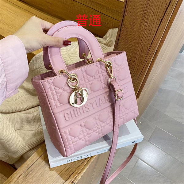 Dior small bag-0240