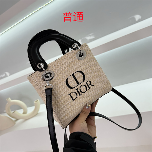 Dior small bag-0250