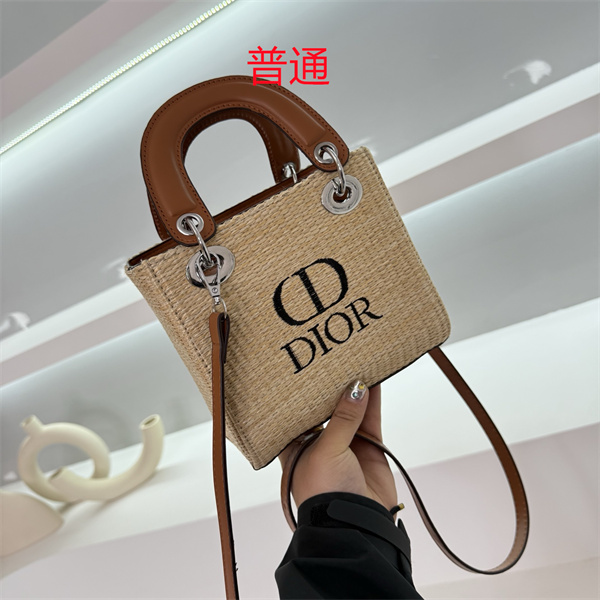 Dior small bag-0251