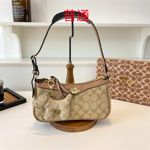 Dior small bag-0277