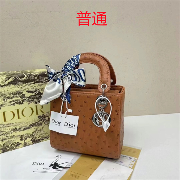 Dior small bag-0293